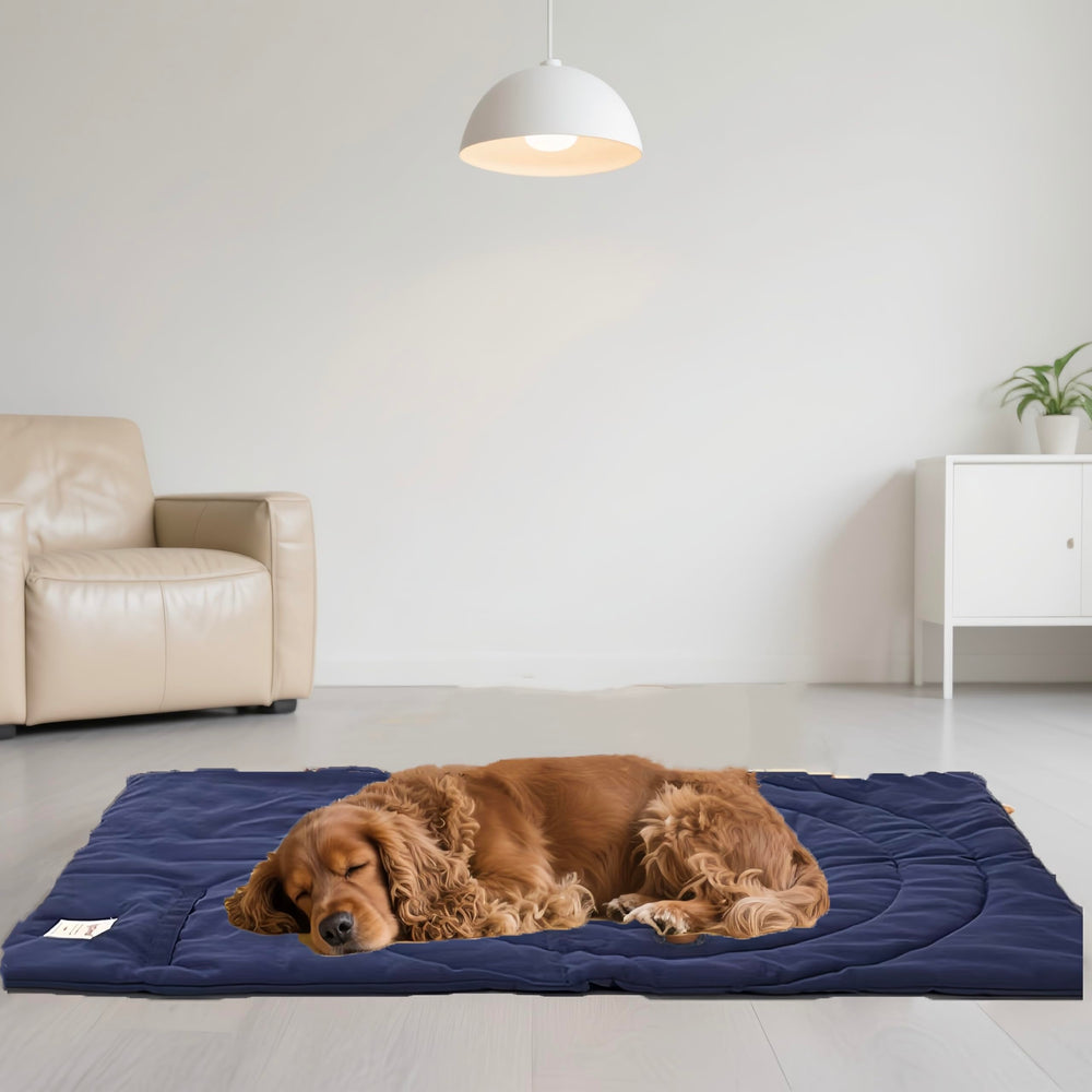 MikooMikoo Travel Dog Bed bullseye helps with training placement.