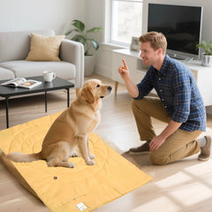 MikooMikoo Travel Dog Bed rolled compactly for car trunk storage.