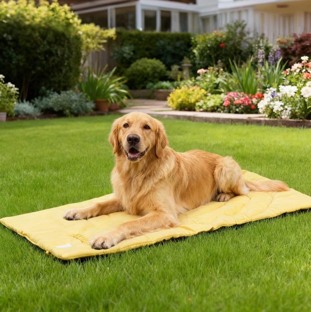 MikooMikoo Travel Dog Bed suitable for indoor and outdoor adventures.