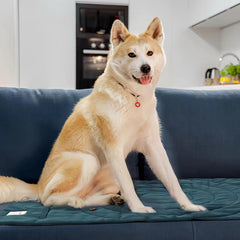 MikooMikoo Travel Dog Bed open flat for comfortable lounging.