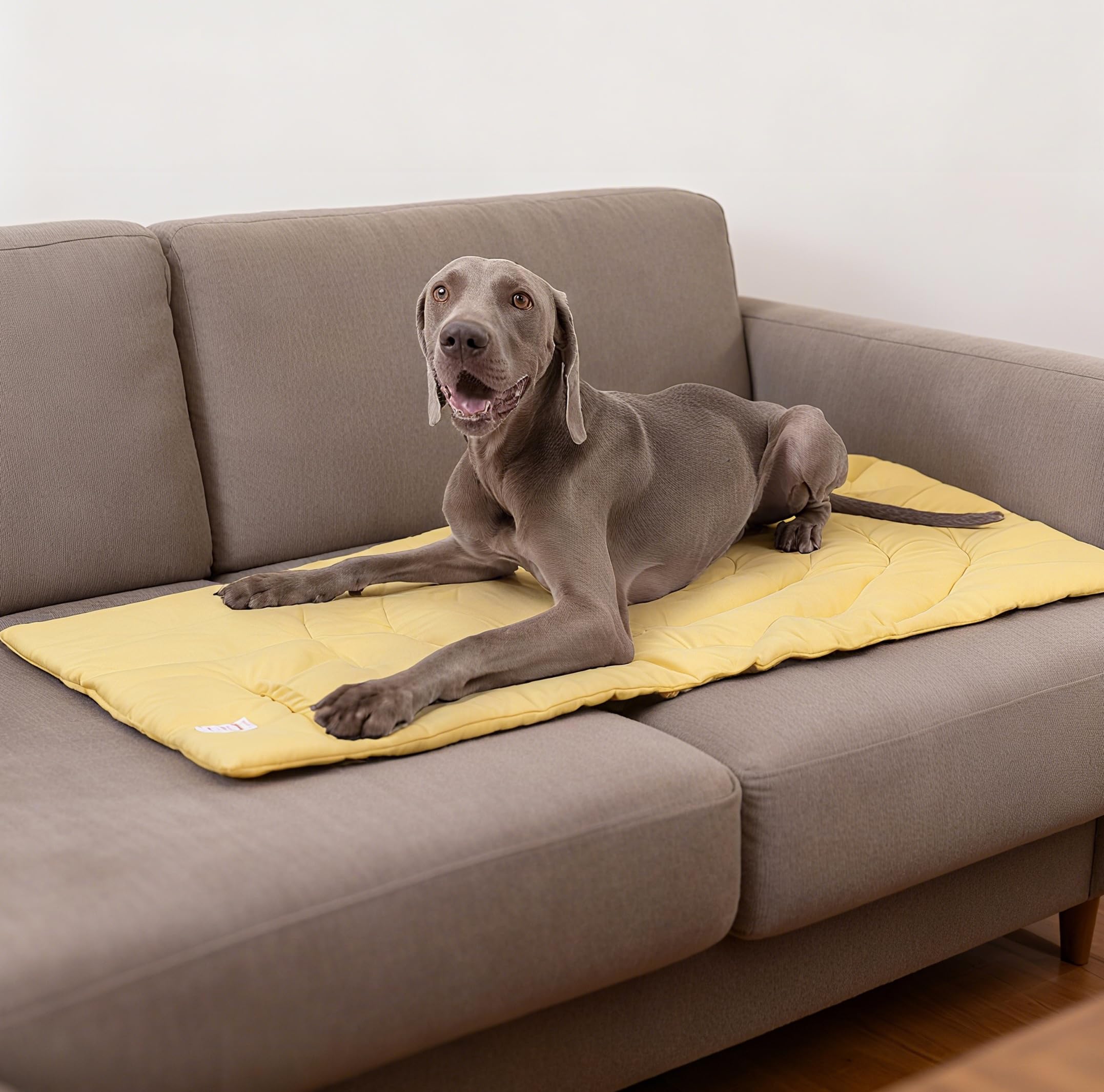 MikooMikoo Waterproof Outdoor Mat keeps paws dry outdoors.