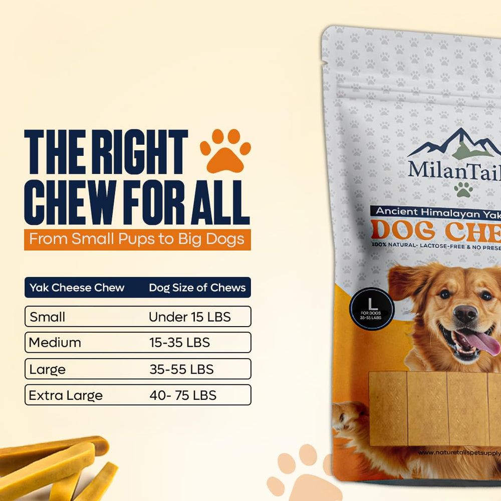 MILANTAILS Natural yak cheese chews free from additives.
