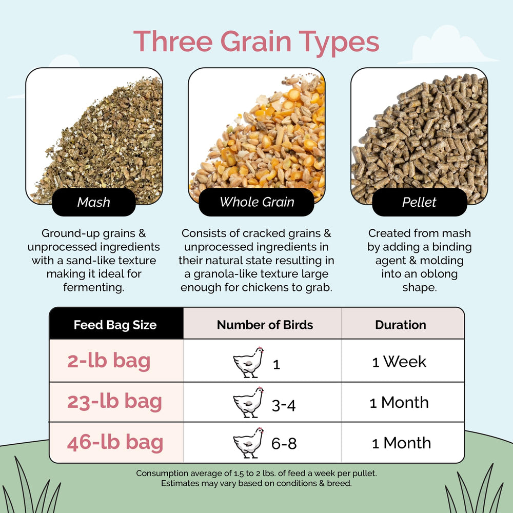 Mile Four 16-percent protein formula supports steady laying