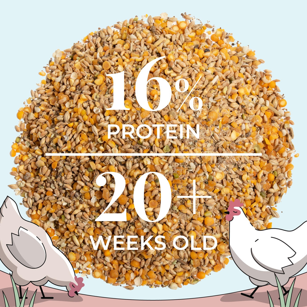 Mile Four corn-free soy-free feed emphasizes natural nutrition