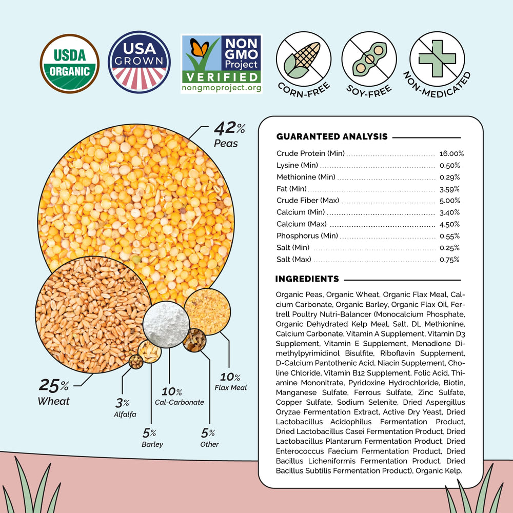 Mile Four eggs show deeper yolks and strong shells after Layer Feed