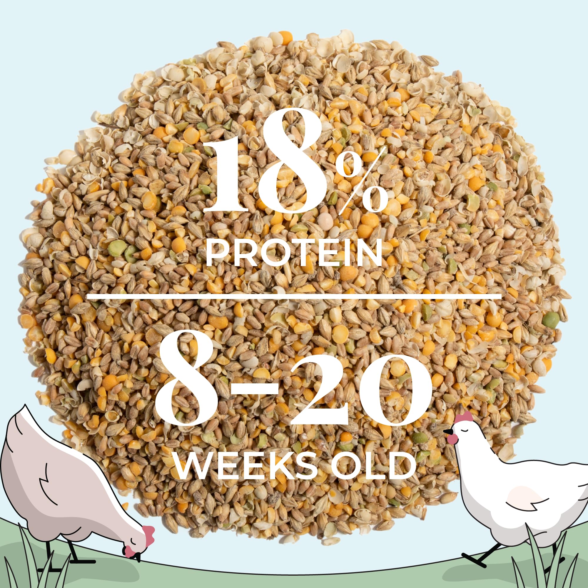 18 percent protein in Mile Four feed supports growth and steady energy.