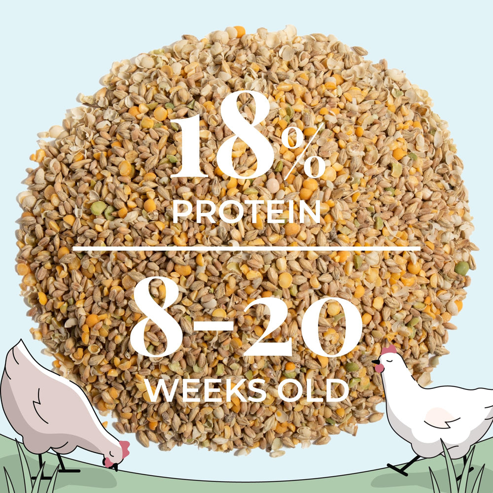 18 percent protein in Mile Four feed supports growth and steady energy.