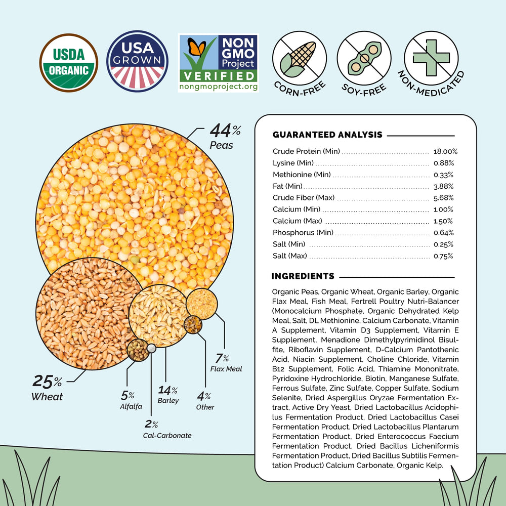 Mile Four organic feed supports strong eggshells and consistent laying with protein benefits.