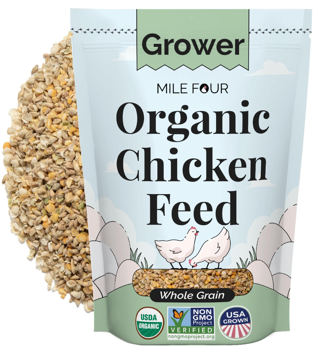 Mile Four organic whole grain feed, visualized to support healthy flock activity and egg production.