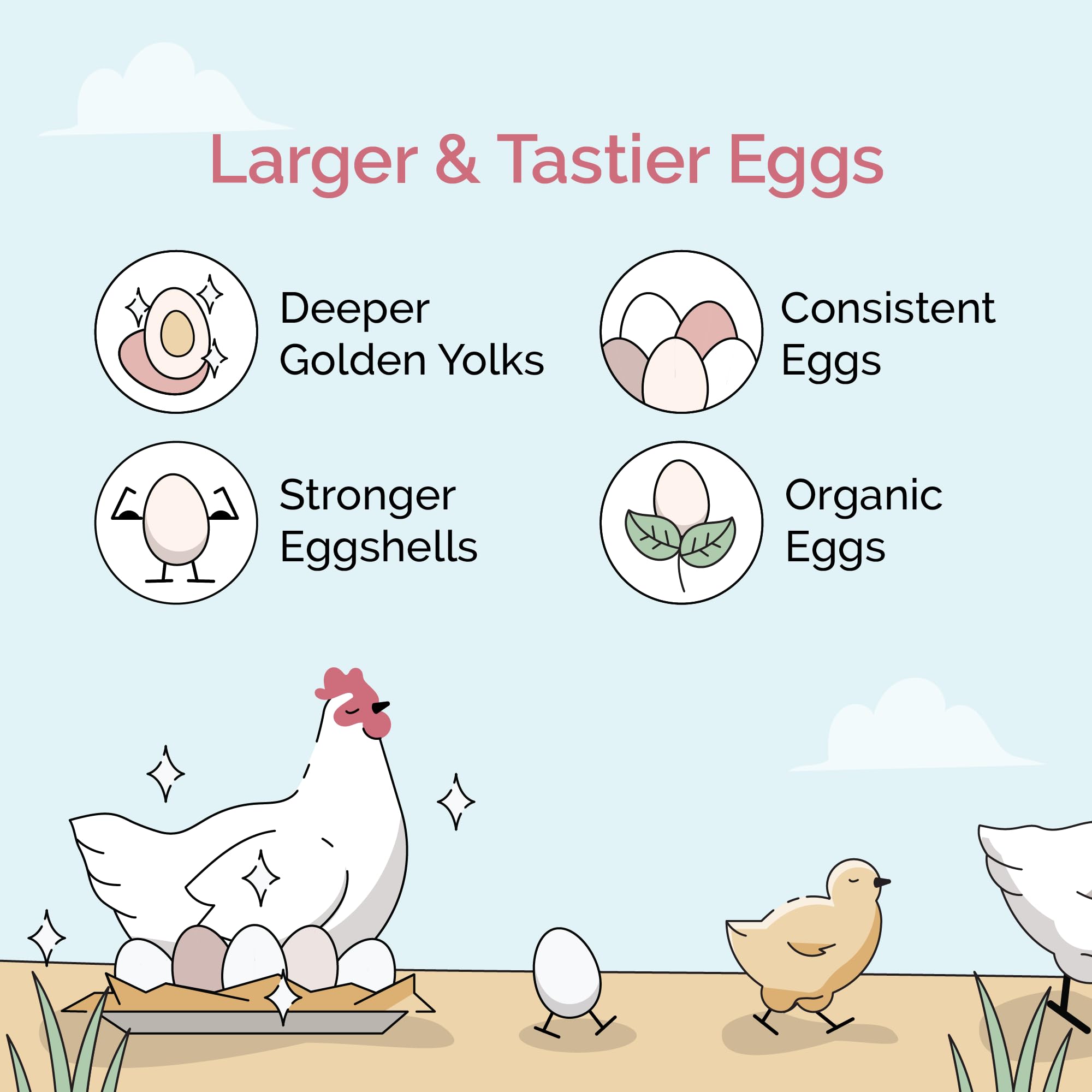 Mile Four Organic Chicken Feed Pellet Format promotes uniform feeding.
