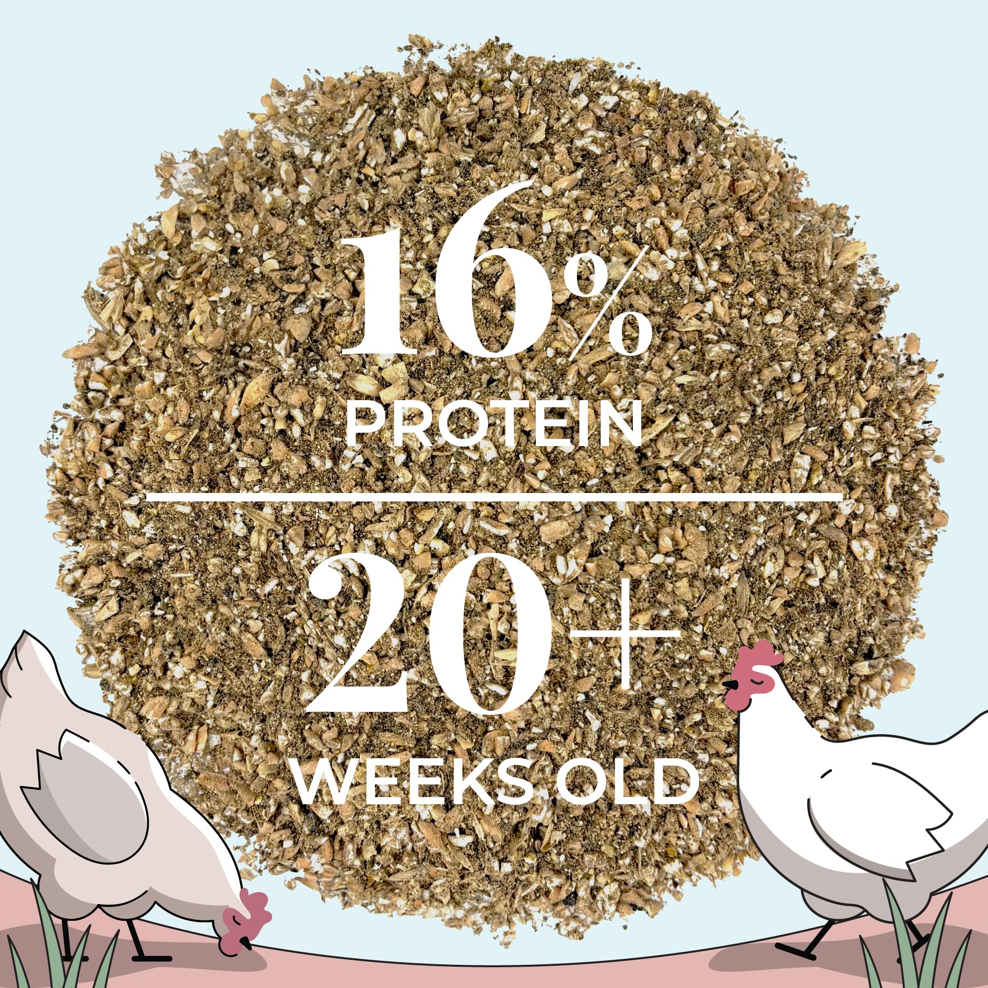 Organic eggs laid by hens fed Mile Four feed.