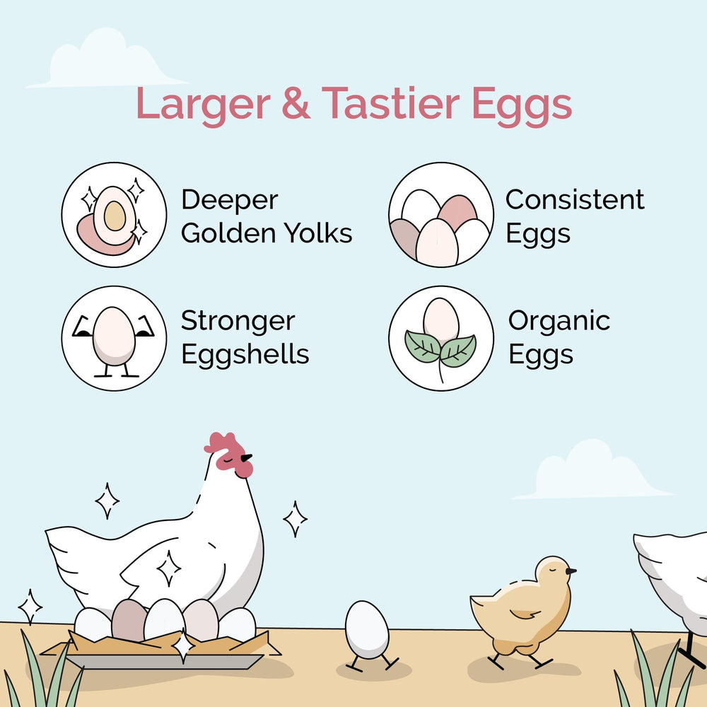Mile Four whole-grain chicken feed demonstrates natural texture for birds.