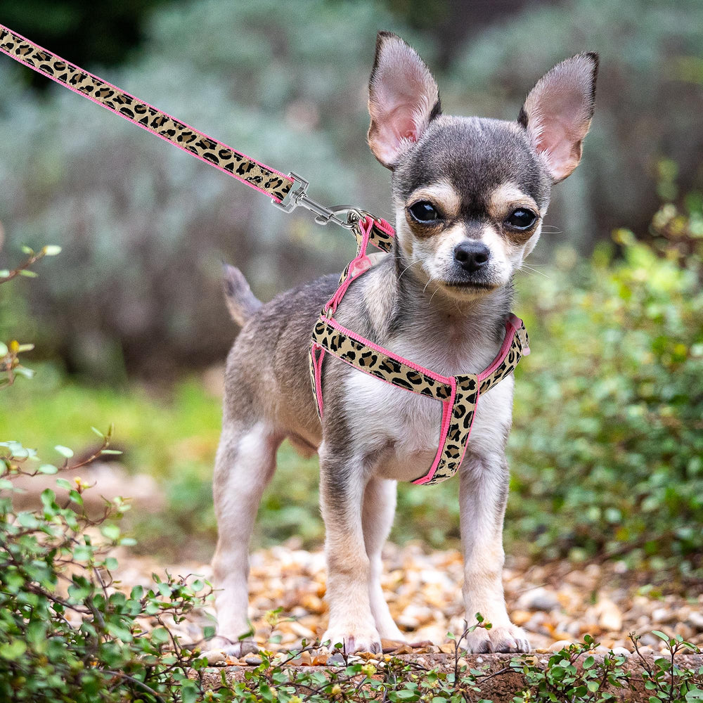 Mile High Life leopard dog harness pink closeup showing durable nylon strap