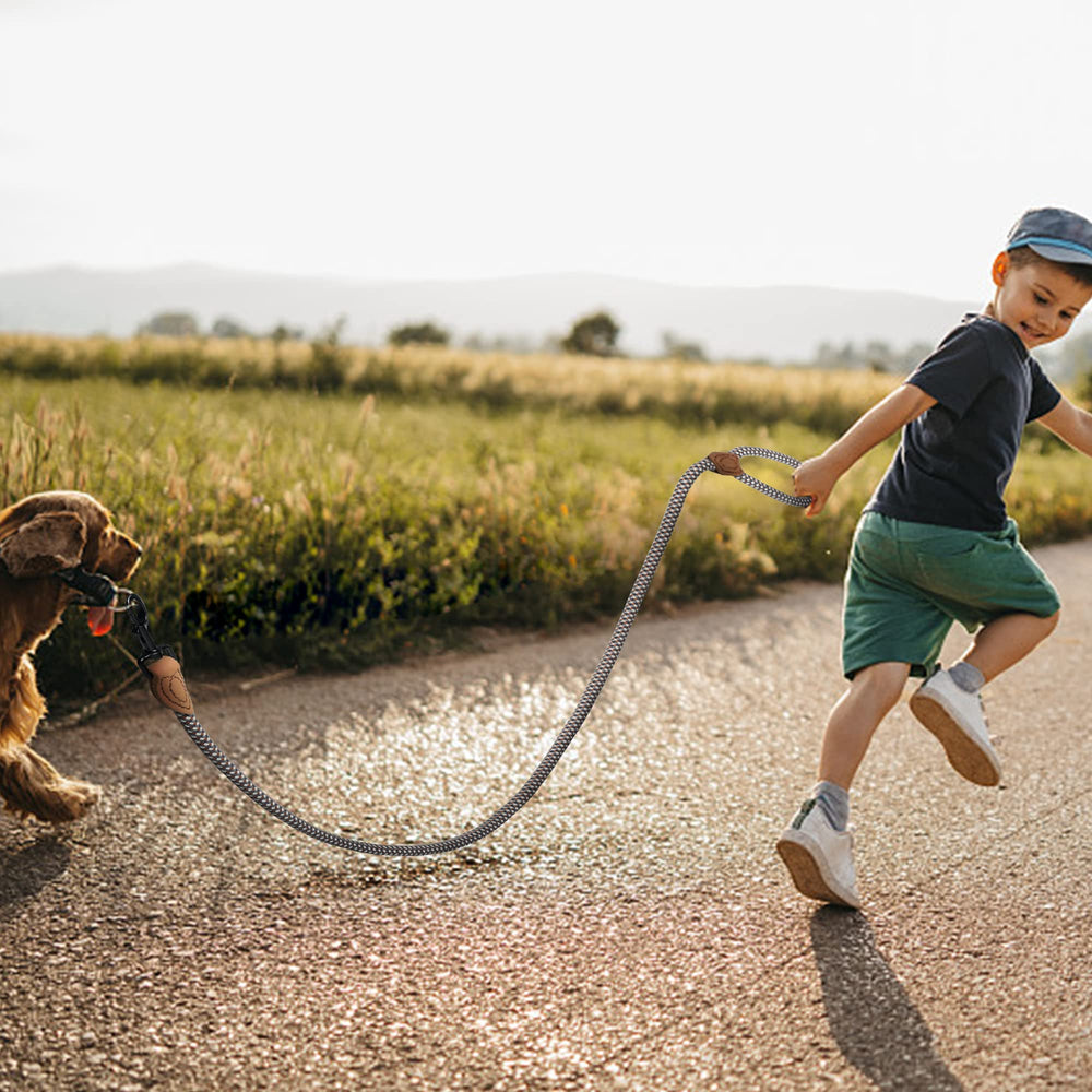 Mile High Life rope leash in brown color for versatile outdoor use