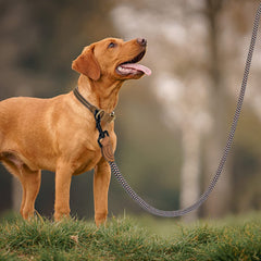 Mile High Life leash with genuine leather connection for durable odor-free use.