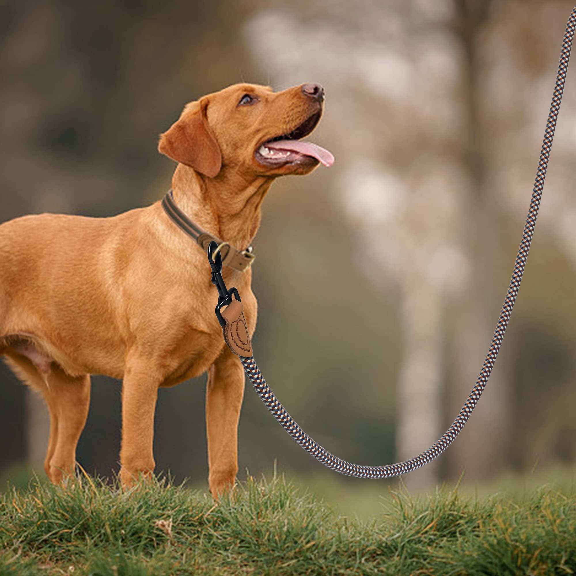 Mile High Life leash features hand-stitched genuine leather connection