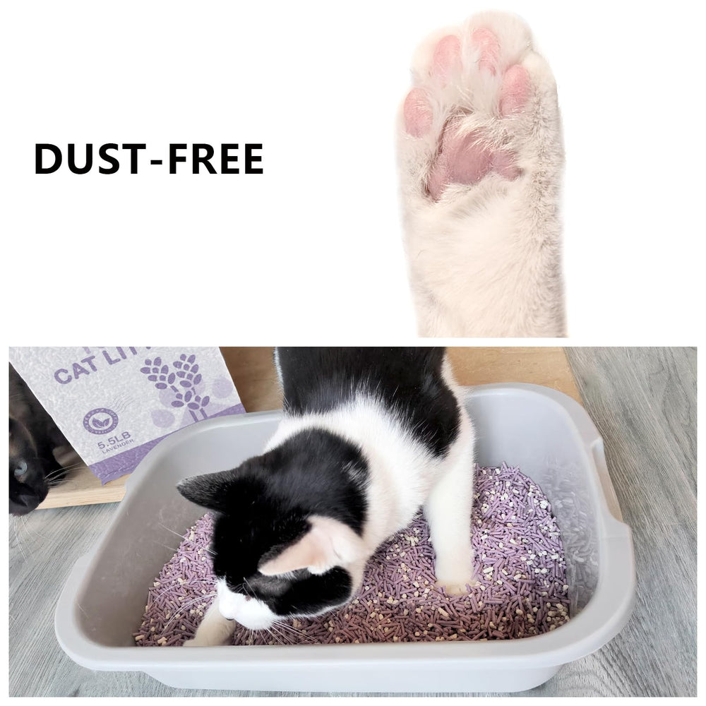 MILIFUN Tofu Cat Litter deodorizing granules neutralize odors for fresher indoor air.