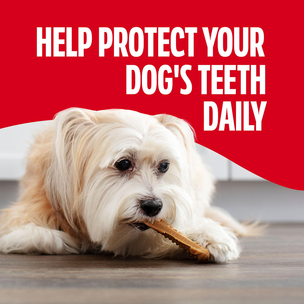 Milk-Bone Brushing Chews calcium-enriched bites for strong bones and teeth.