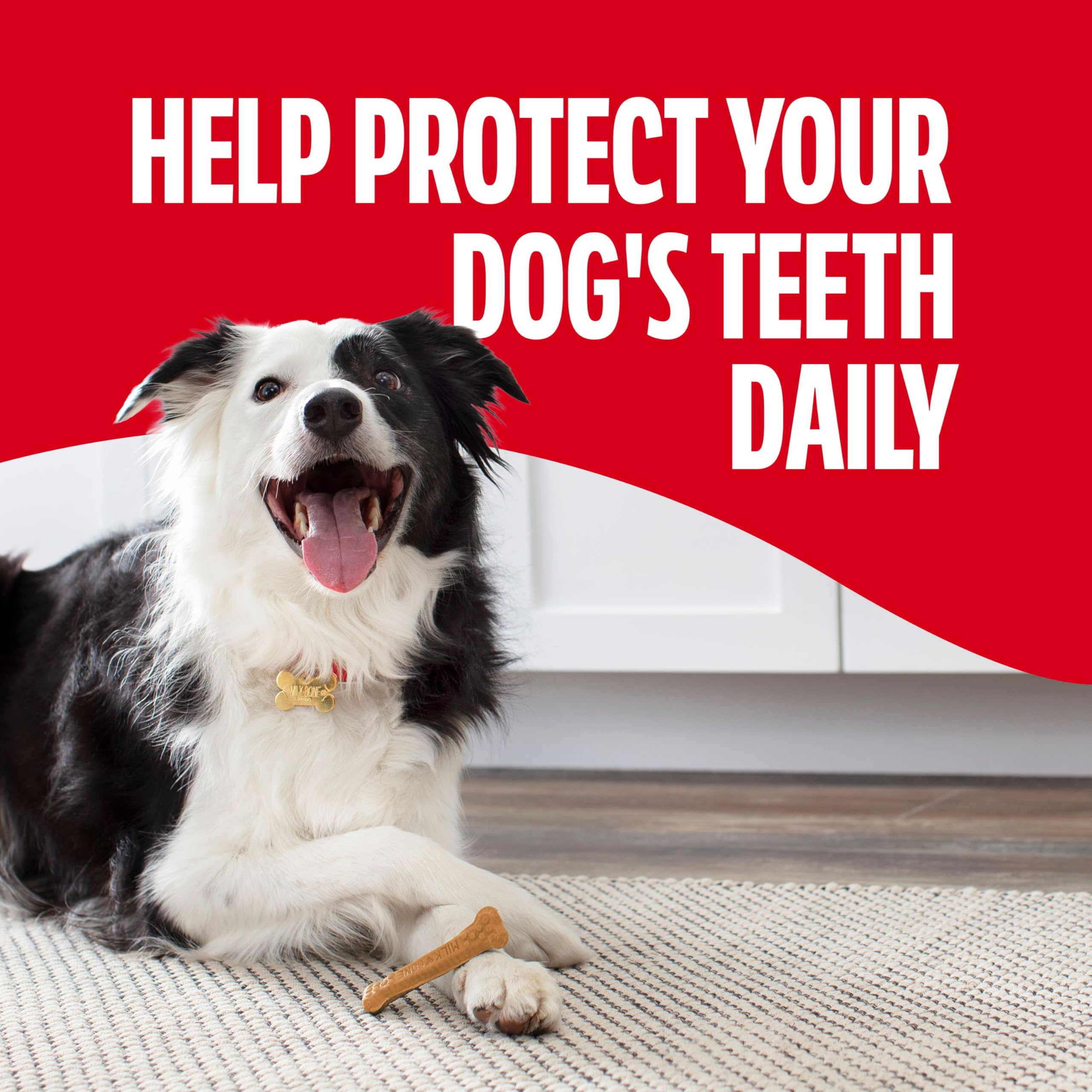 Milk-Bone Brushing Chews are easy-to-digest daily dental treats for dogs.