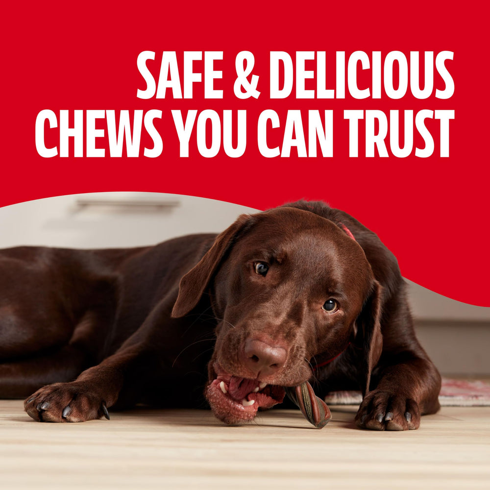 Milk-Bone Comfort Chews action during teeth cleaning while dogs chew.