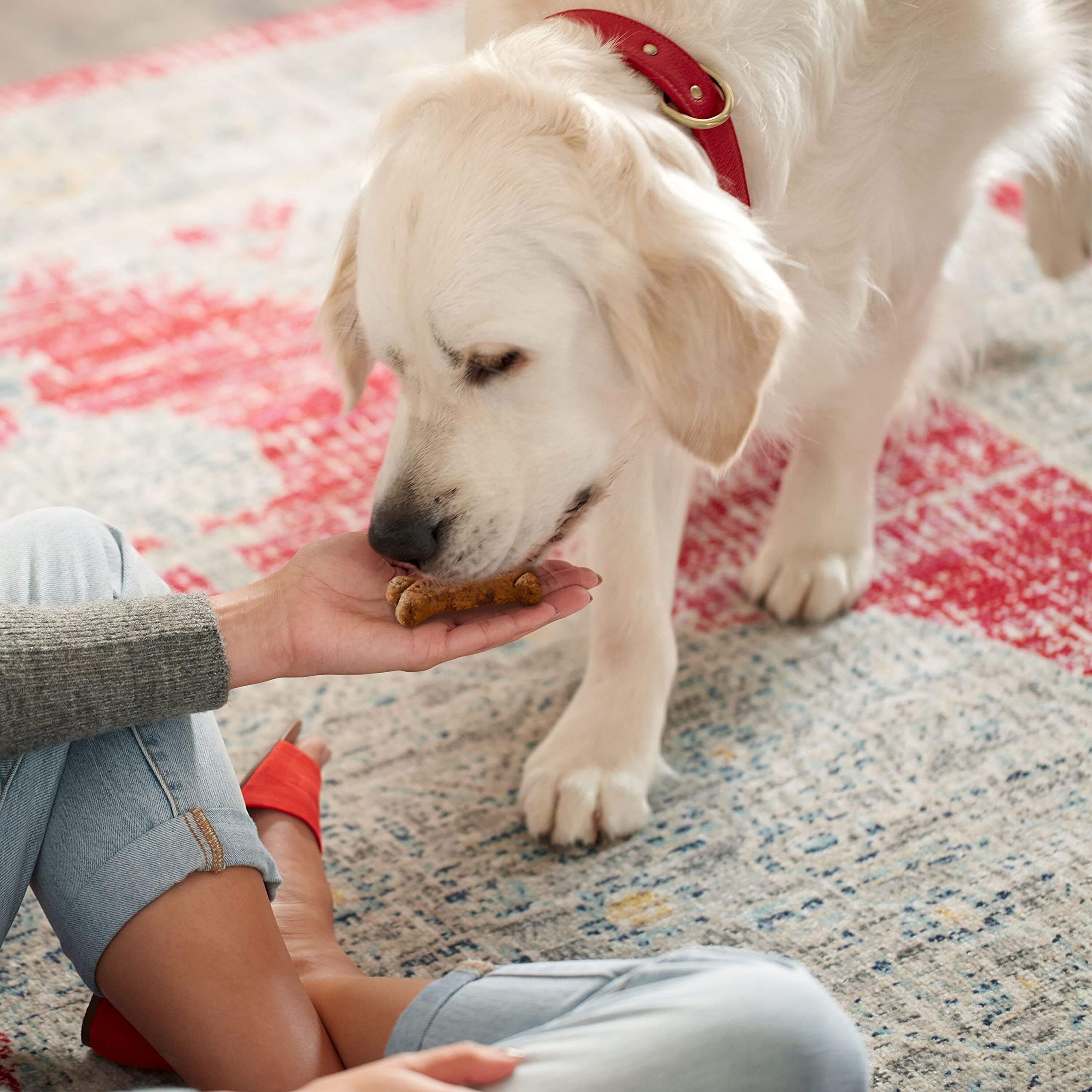 Milk-Bone GravyBones bacon-flavored biscuit delivers savory flavor with dental support.