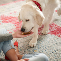 Milk-Bone GravyBones liver flavor biscuits deliver rich aroma and bite.