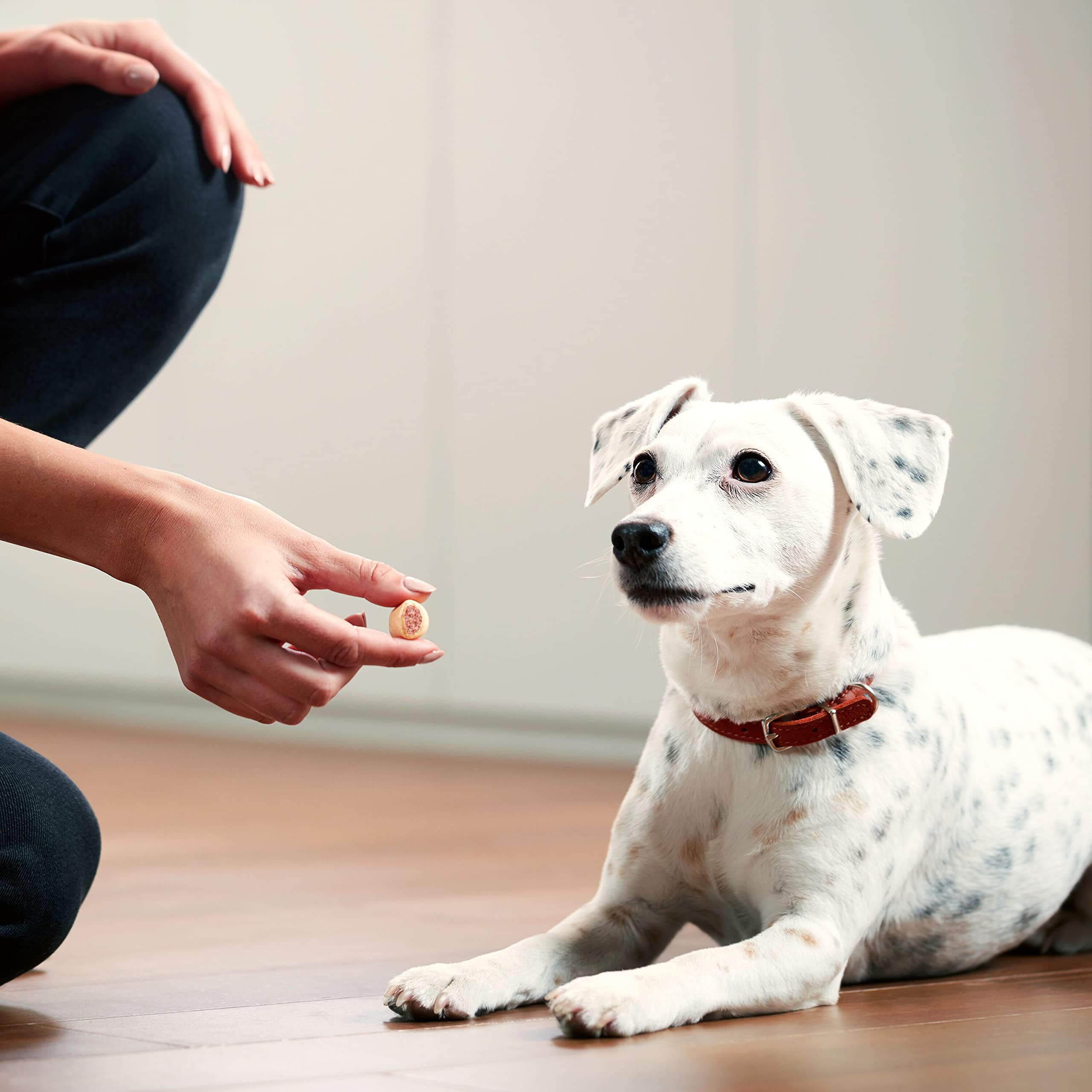 Milk-Bone MaroSnacks calcium-enriched formula to support teeth and bones.