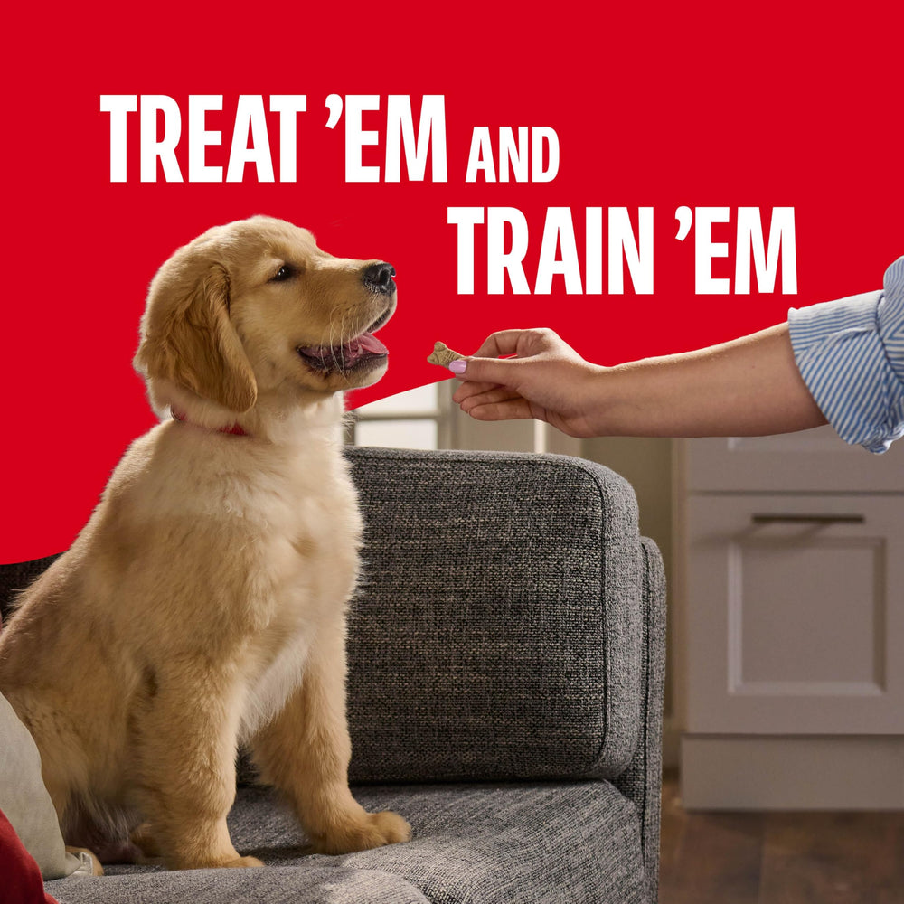 Milk-Bone Original Puppy Treats with DHA for brain development support.