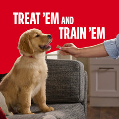 Milk-Bone Original Puppy Treats with DHA for brain development support.