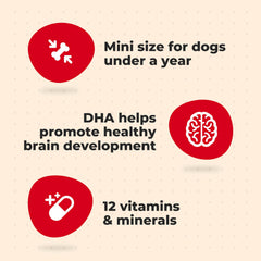Milk-Bone Original Puppy Treats mini biscuits close-up, perfect for growing mouths.
