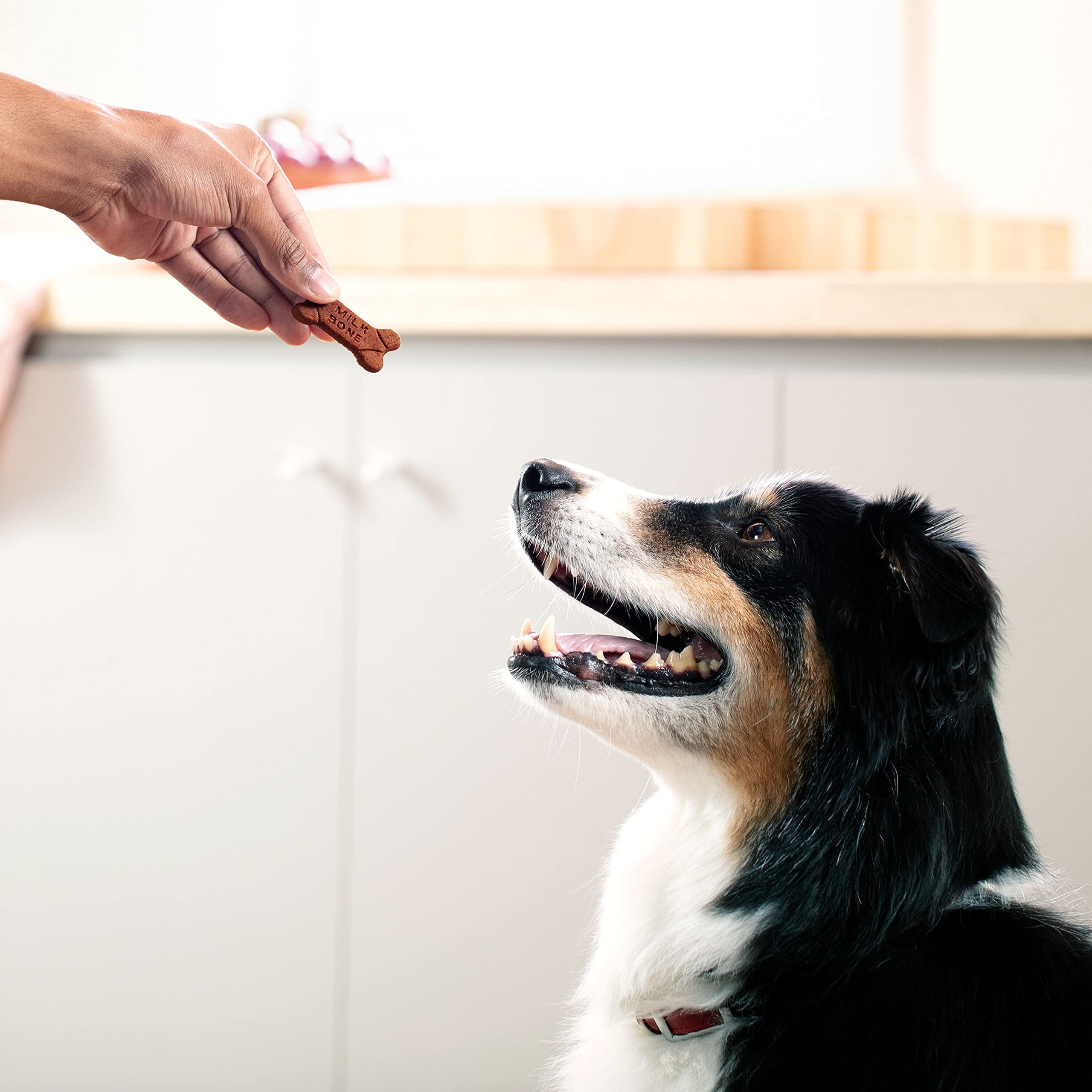 Milk-Bone Soft & Chewy made in USA—Buffalo, NY and Topeka, KS.