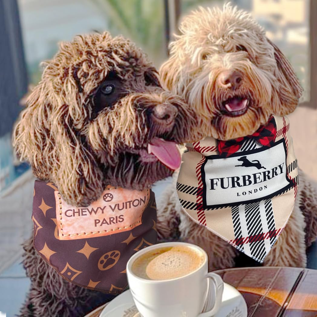 Millionaire Mutt makes a great gift for puppies and fashion-loving dogs.