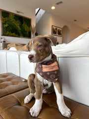Millionaire Mutt soft durable polyester fabric provides comfort and quick-dry performance.