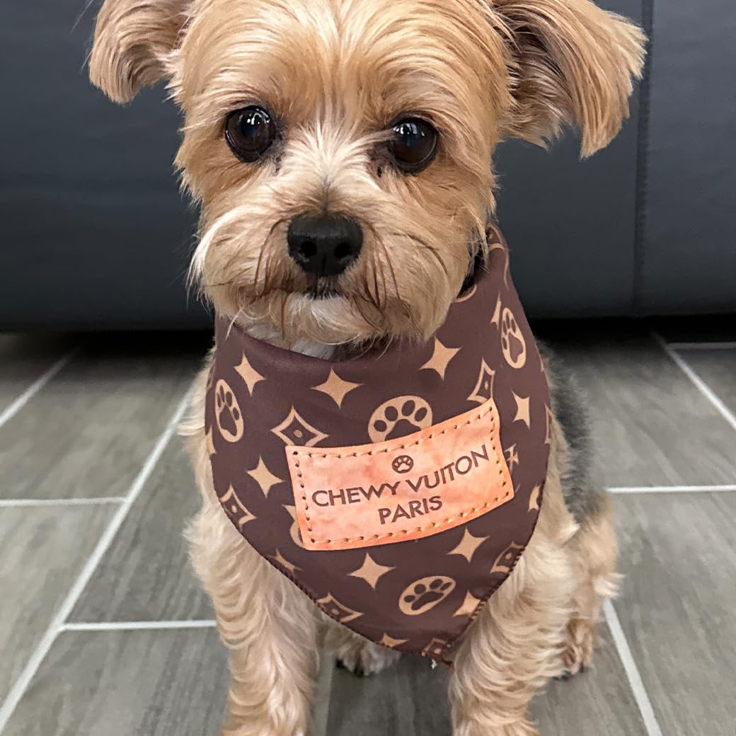 Millionaire Mutt bandana features vivid colors that stand out during walks or park photos.