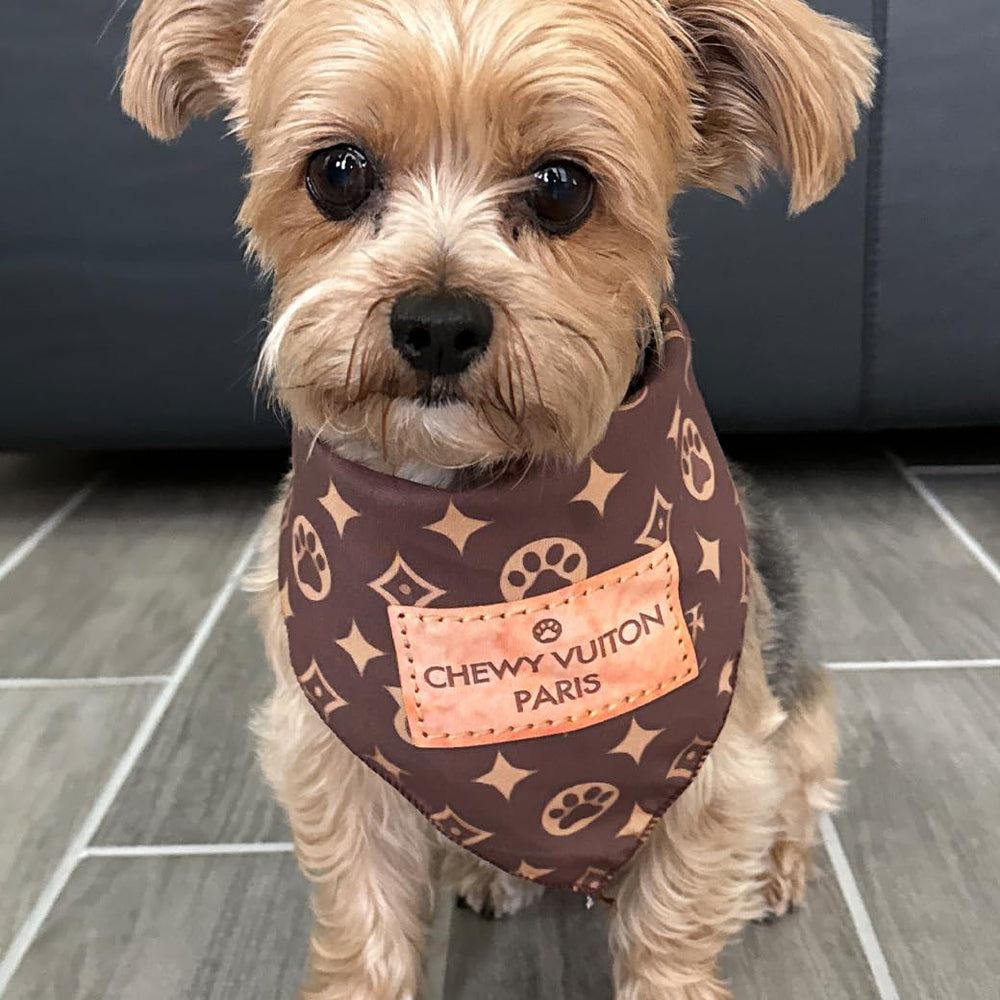 Millionaire Mutt bandana features vivid colors that stand out during walks or park photos.