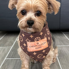 Millionaire Mutt bandana features vivid colors that stand out during walks or park photos.