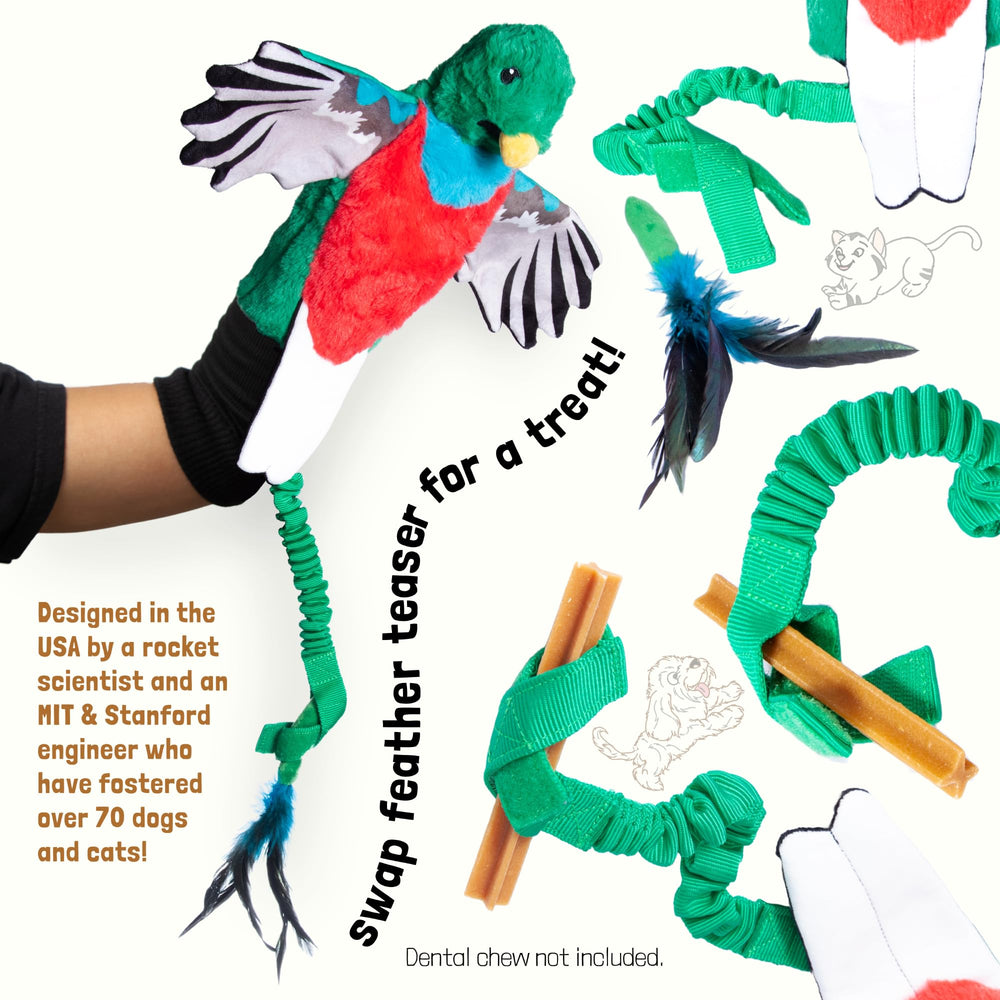 Enrichment tool for tiring puppies and kittens through active bonding.