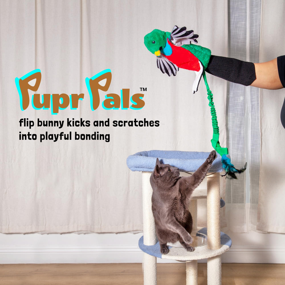 Inner padding protects teeth during playful wrestling with Milunova Pupr Pals.