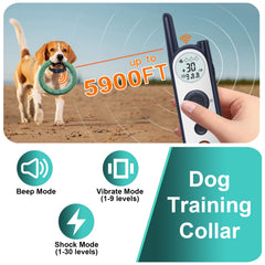 MIMOFPET training remote with display for precise training control.