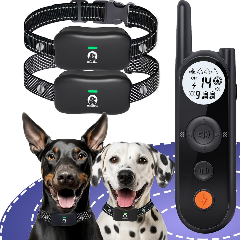 MIMOFPET wireless fence setup shows quick boundary setup for dogs