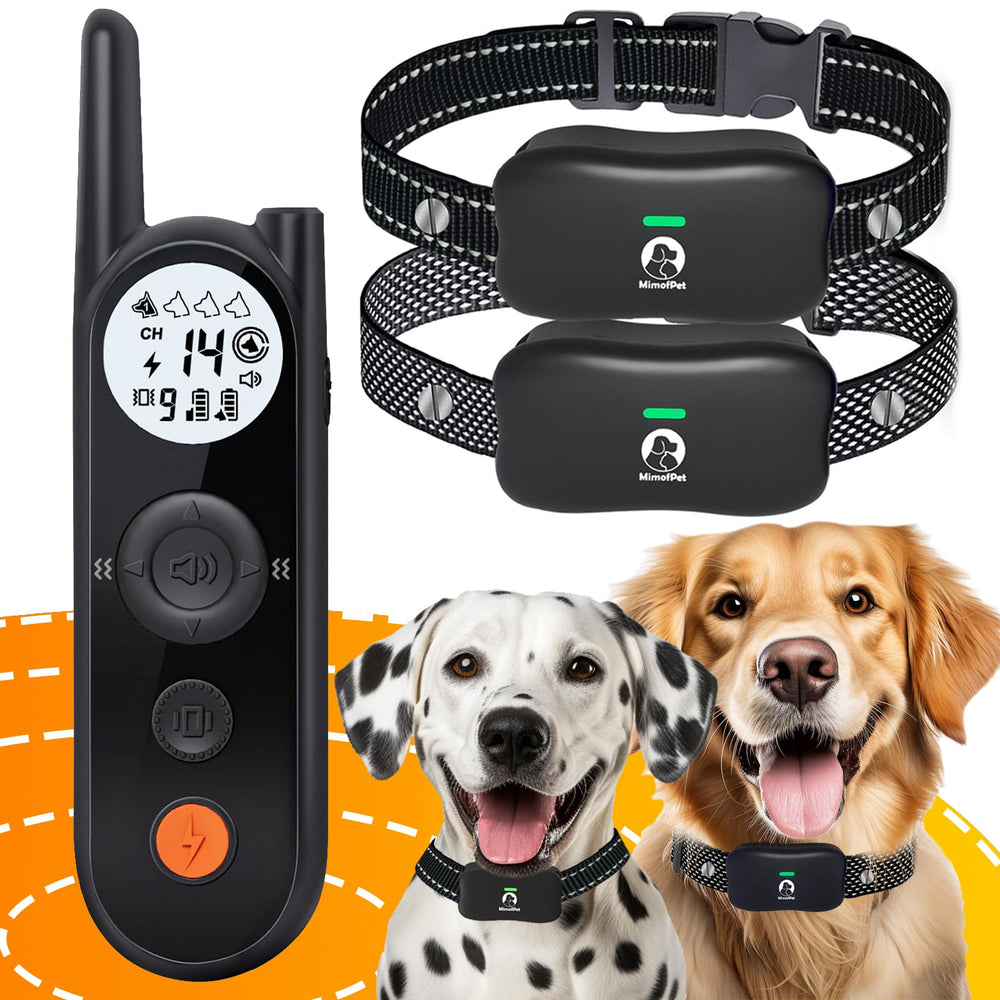 MIMOFPET wireless fence setup demonstrates quick installation for outdoor use.