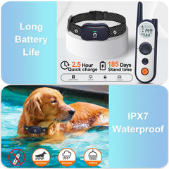 MIMOFPET rechargeable collar with long standby for low maintenance.