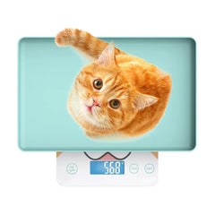 MindPet-Med cute scale with a 12x9 tray for tiny pets, enabling precise daily weigh-ins.