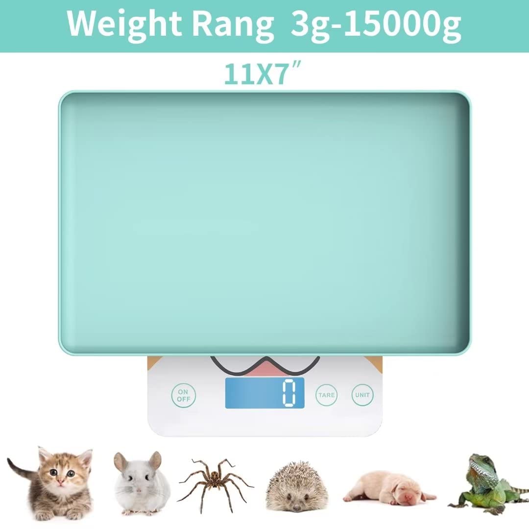 MindPet-Med digital pet scale showing 1g precision for small weight changes.