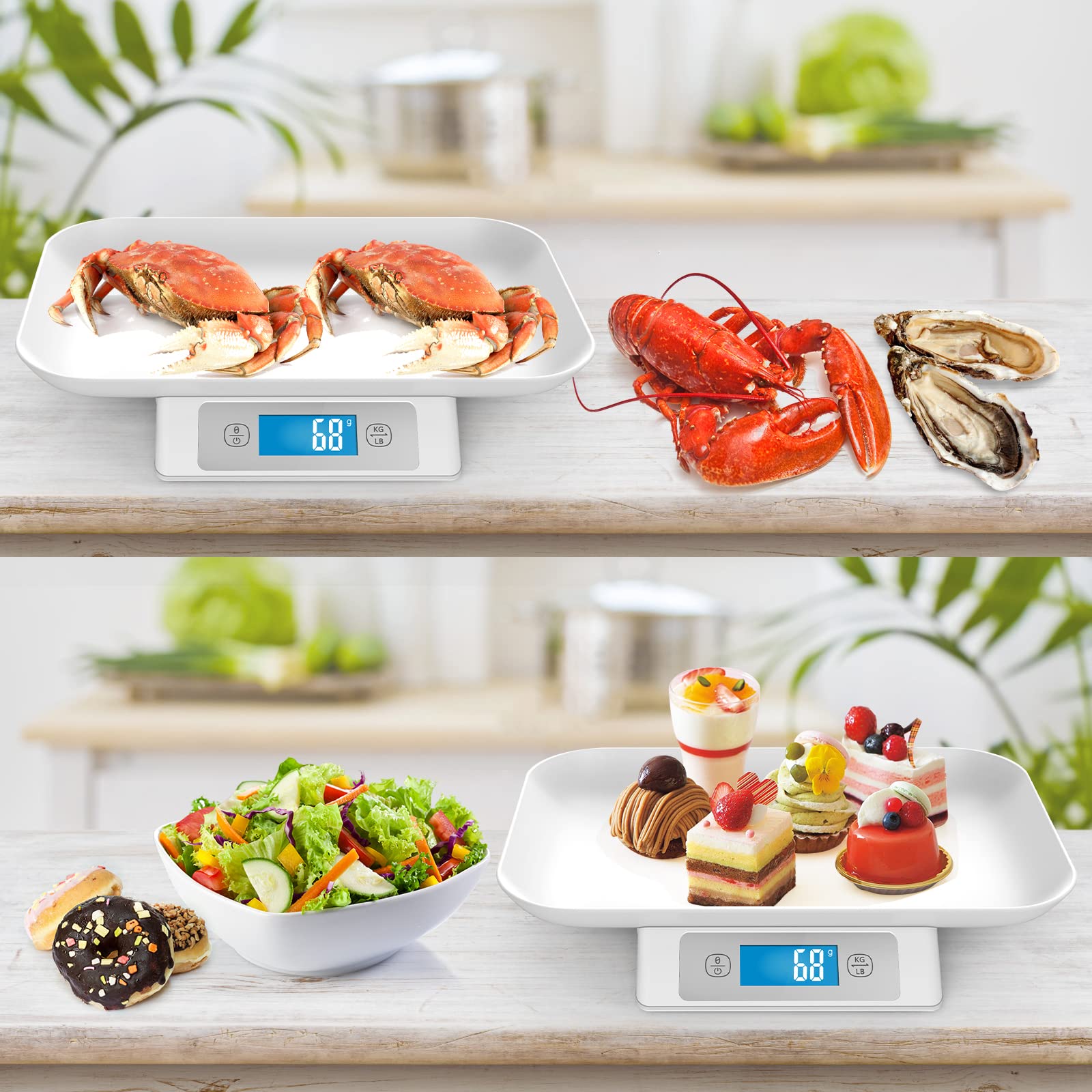 Removable tray on the MINDPET-MED scale for easy cleaning after weigh-ins