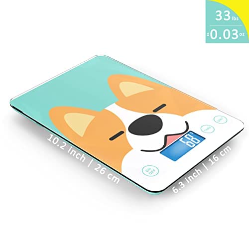 MindPet-Med compact tray enables easy cleaning and quick setup.