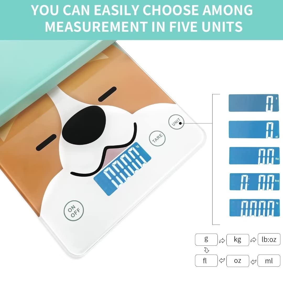 MindPet-Med high-precision range from 2g to 15kg supports diverse small animals.