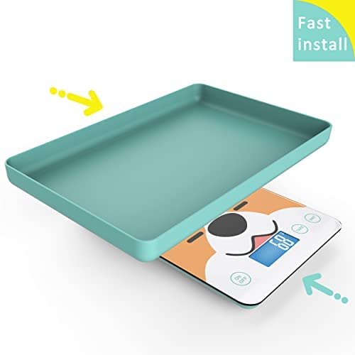 MindPet-Med wall-mountable scale design for easy storage and quick access.