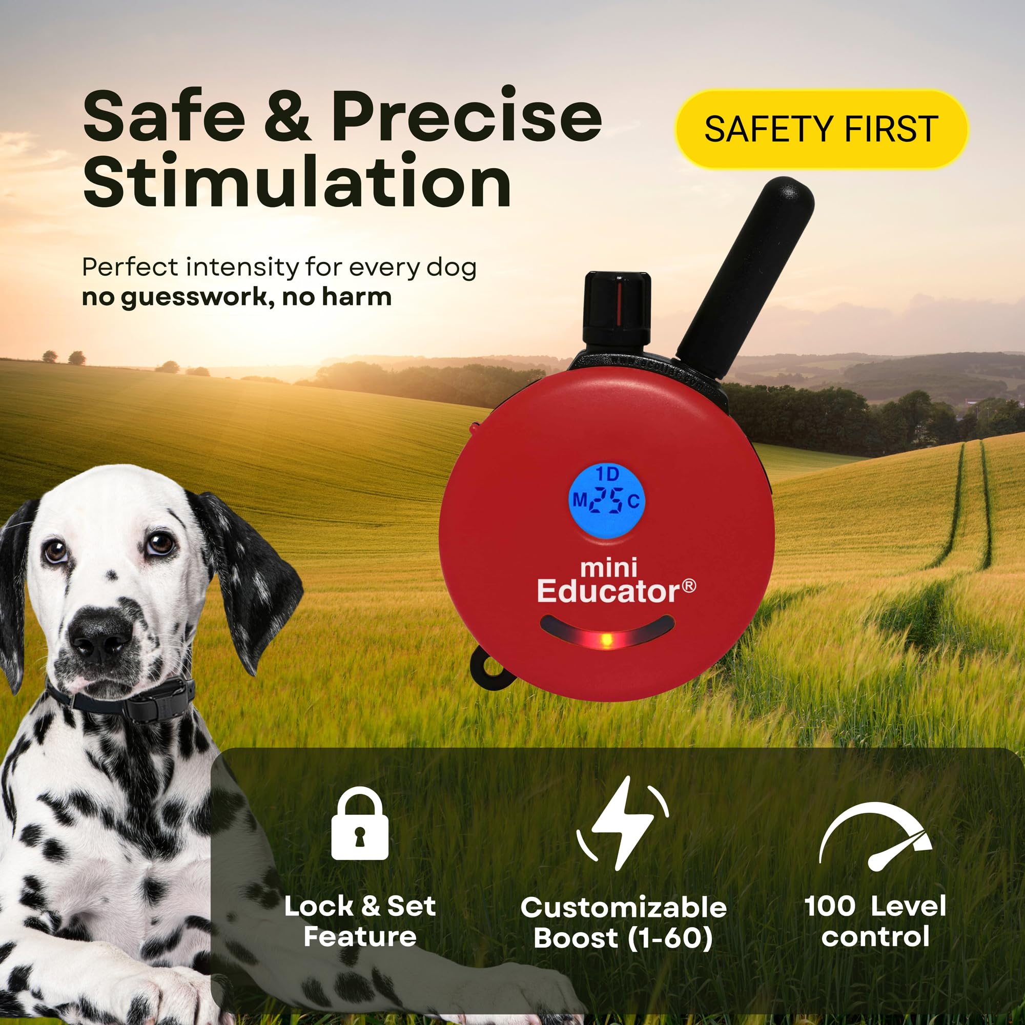 Mini Educator ET-300 red waterproof collar ready for outdoor training.