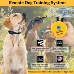 Mini Educator finger clicker for clear training cues during sessions